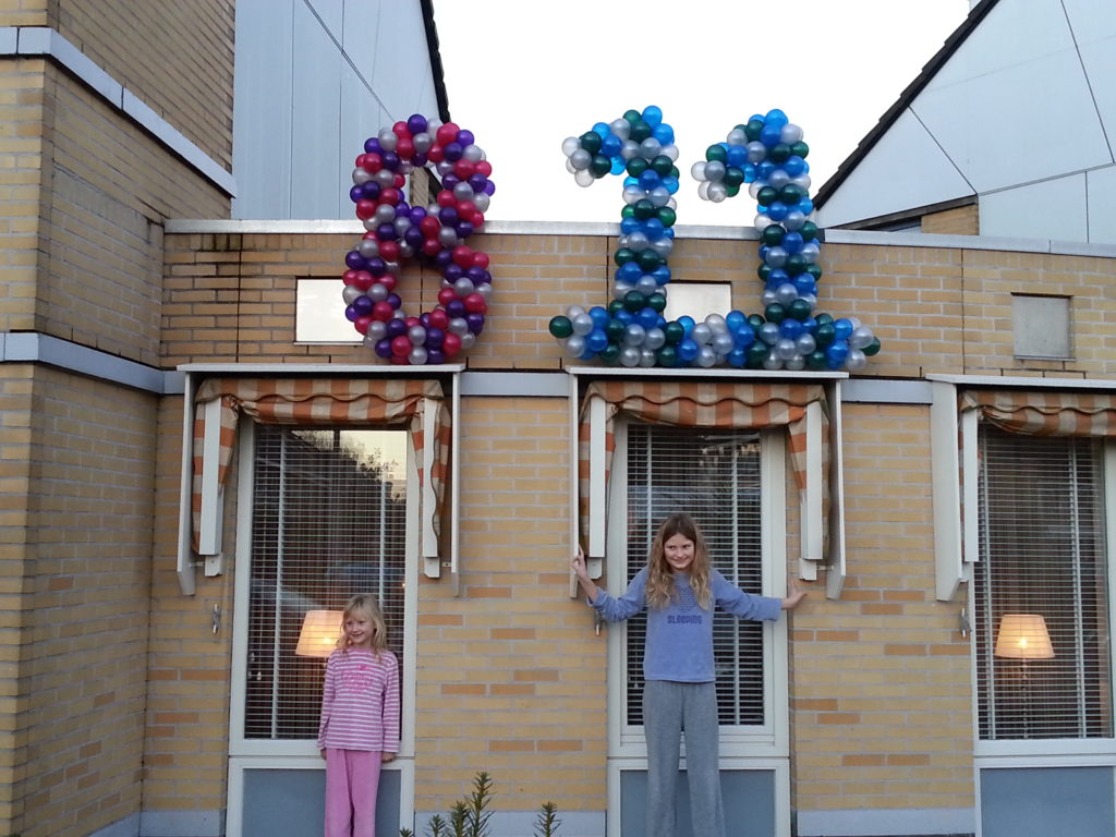 De Ballonnenkoning - ballon leeftijd 8 en 11 - diverse kleuren