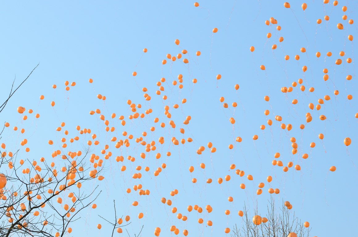 De Ballonnenkoning - ballonnen oplaten - oranje oplaten - Koningsspelen 2013