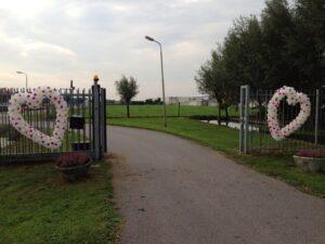 De Ballonnenkoning – ballonhart – ballonhart met gerbera pastel kleuren De Ballonnenkoning - ballonhart - ballonhart met gerbera pastel kleuren