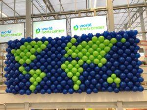 Ballondecoratie ballonwand-De Ballonnenkoning 6