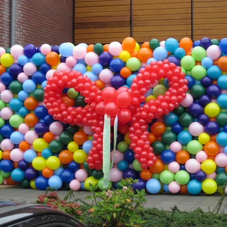 De Ballonnenkoning - ballonwand of ballonmuur - willekeurige kleuren