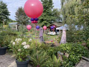 De Ballonnenkoning – Topballonnen helium in de tuin 2 De Ballonnenkoning – Topballonnen helium in de tuin 2