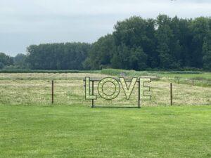 Led Lichtletters LOVE voor een bruiloft in een weiland in Bergschenhoek Led Lichtletters LOVE voor een bruiloft in een weiland in Bergschenhoek